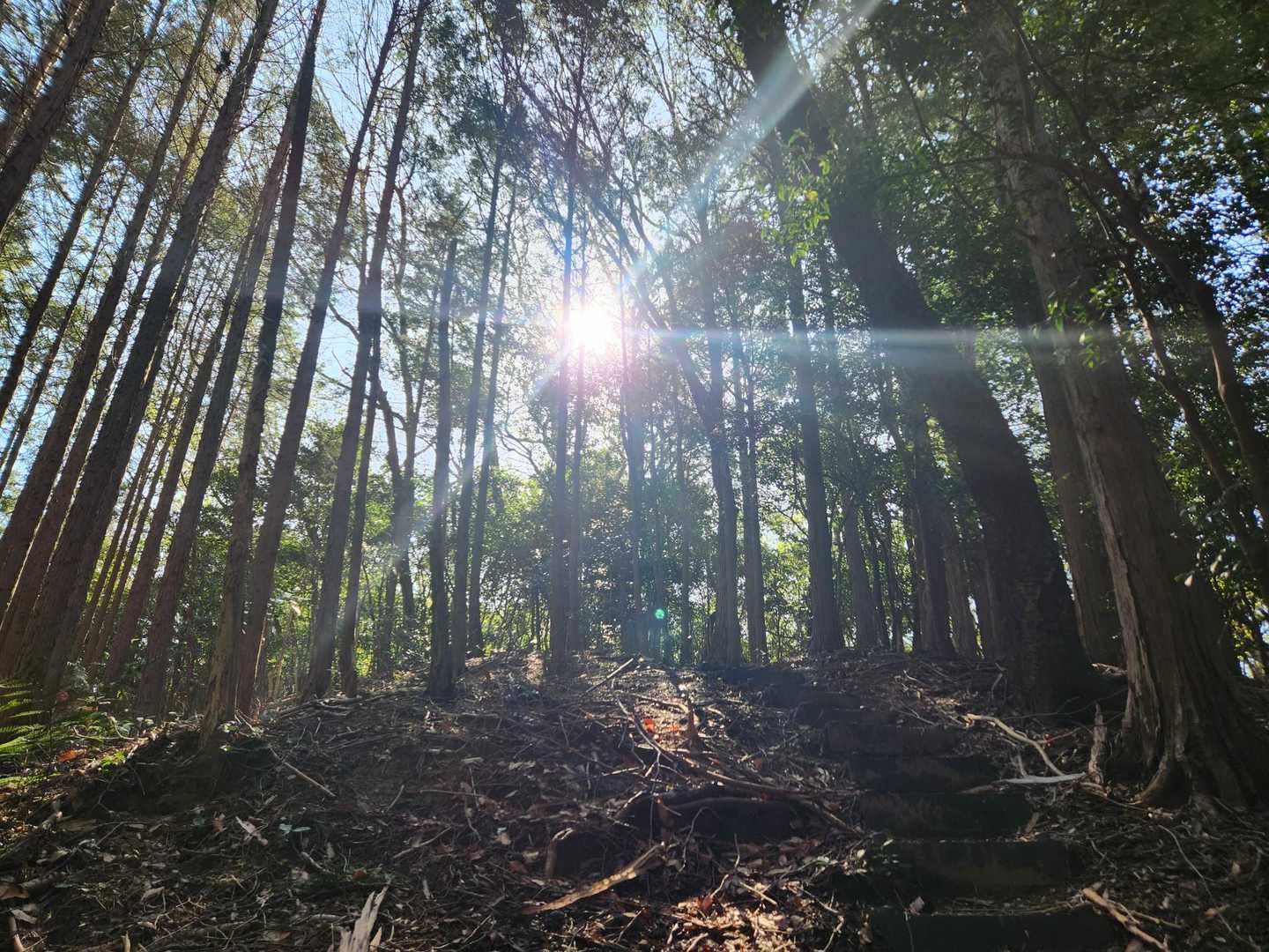 今日はめっちゃお天気良し☀️𓈒𓏸