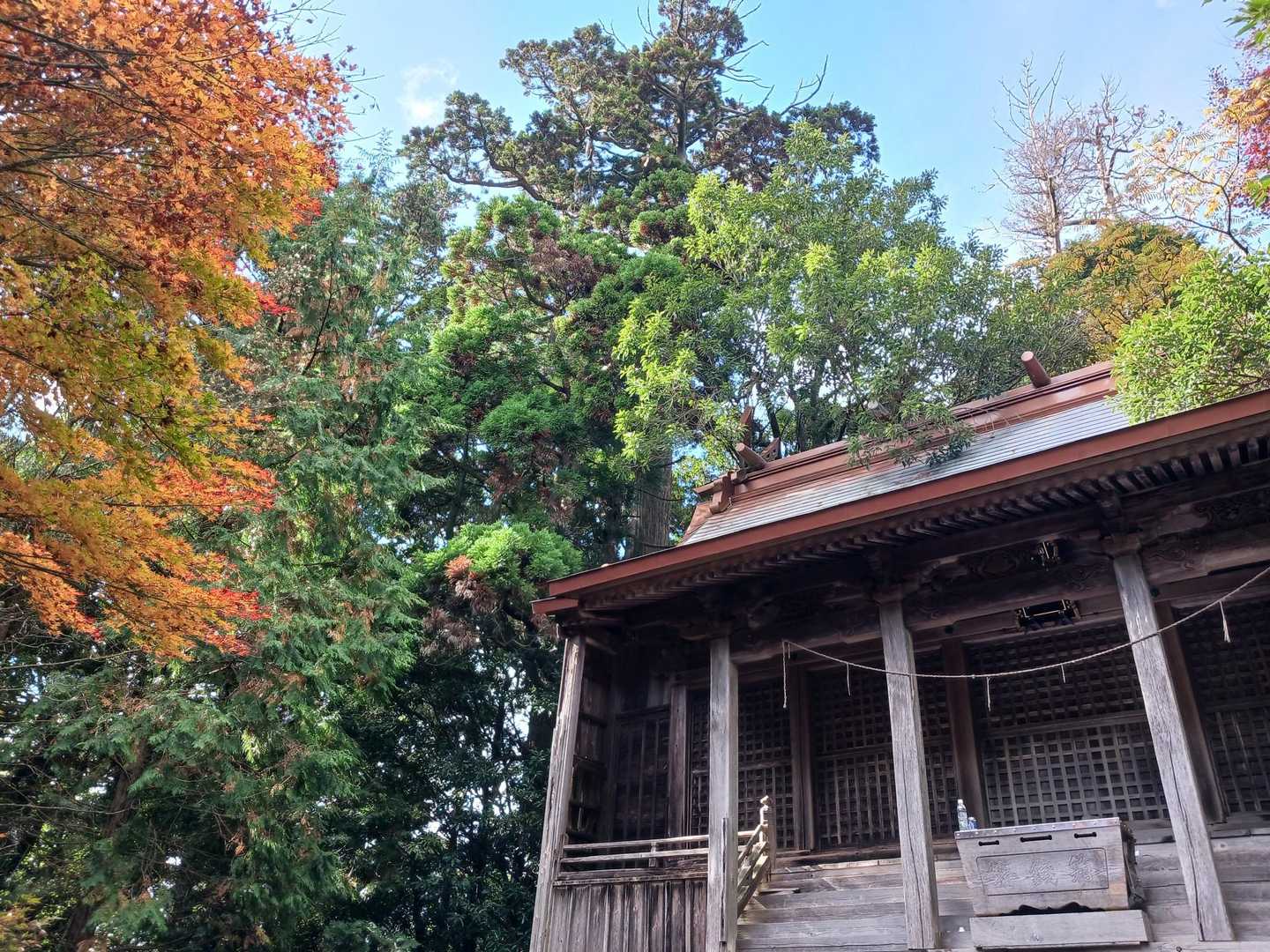 求菩提資料館前バス停-求菩提山 往復コースの写真