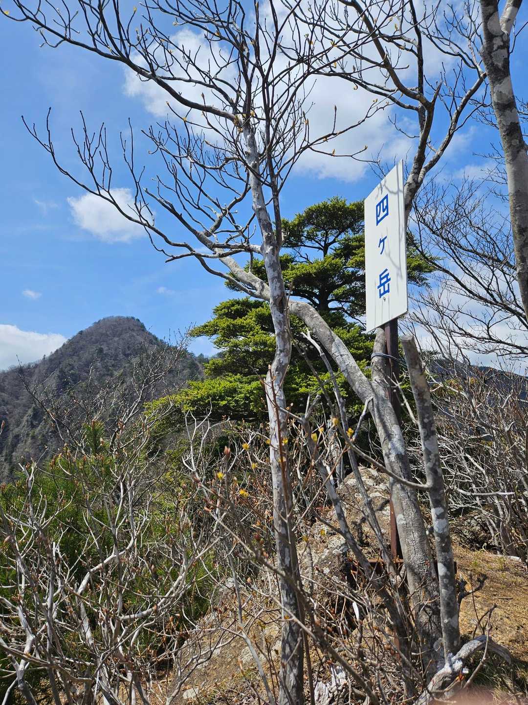 十二ヶ岳登山道入口-ミネ山-毛無山-十二ヶ岳-桑留尾登山口 縦走コースの写真