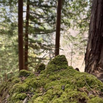 ミドリの世界
ありがとうございました
お疲れ様でした