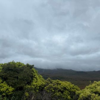 残念ながら桜島の山頂は見えない