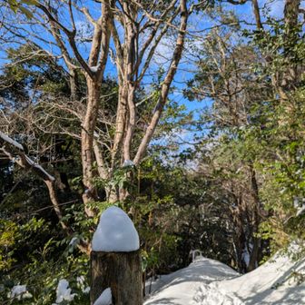 先行者ありの
気持ちいい雪道をてくてく歩いて
