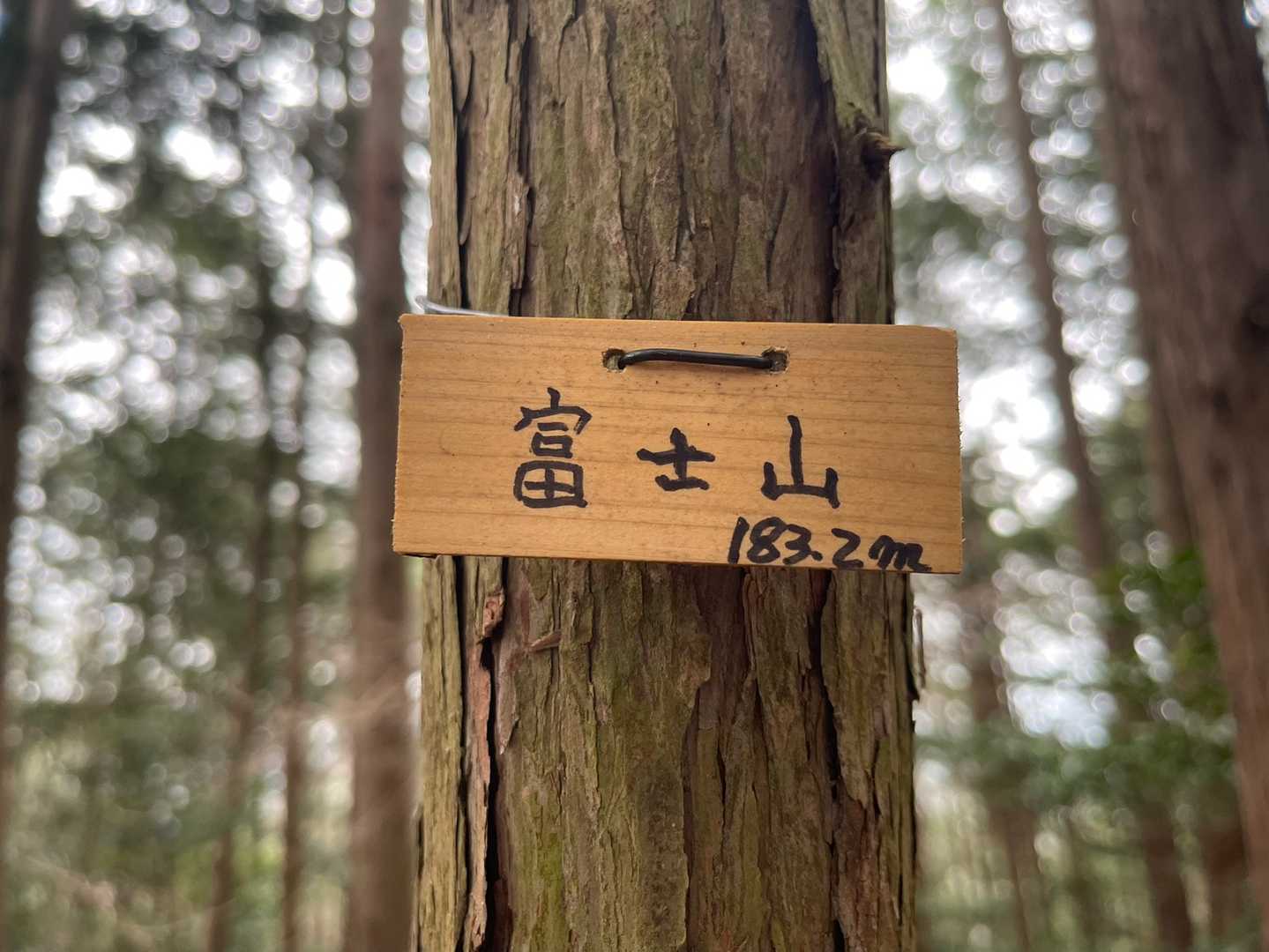 頂上到着✌️です
