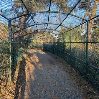 ゴルフ場の中を行く
籠の中の鳥になった気分になりながら走る