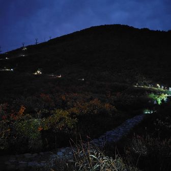黒菱平からは薄暗い草地の斜面をヘッドライト🔦を点灯させながら九十九折を登る↗️