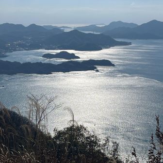 瀬戸内海ならではの景色🪟