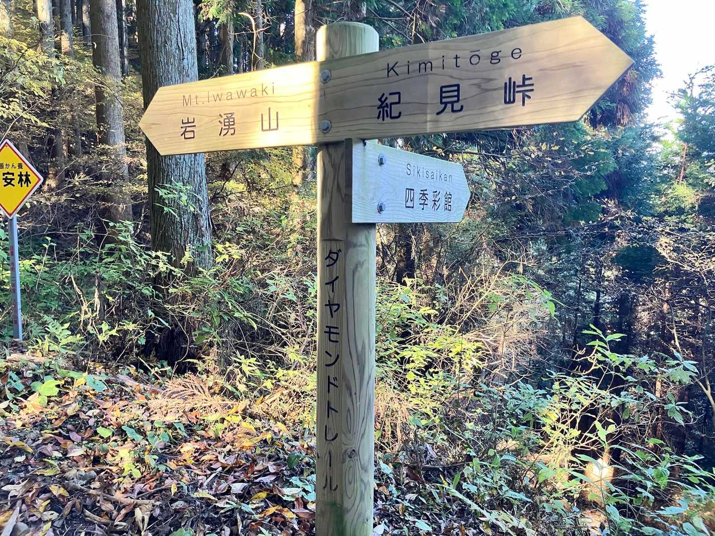 紀見峠からのダイヤモンドトレールに合流