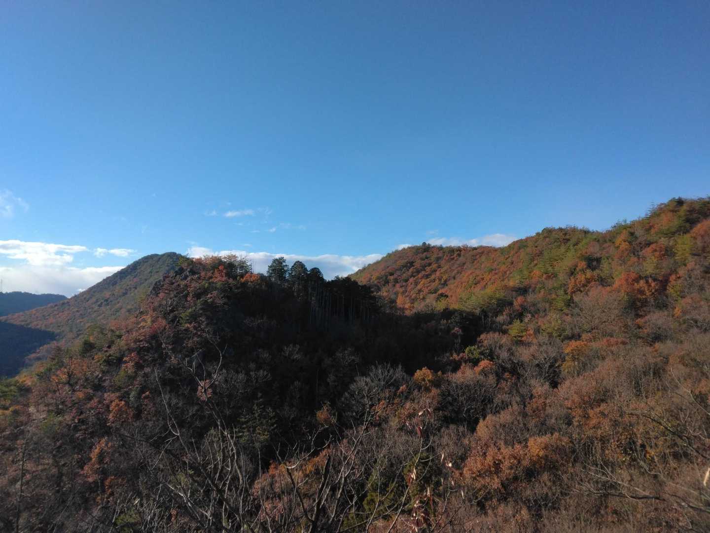 W権現山🙏