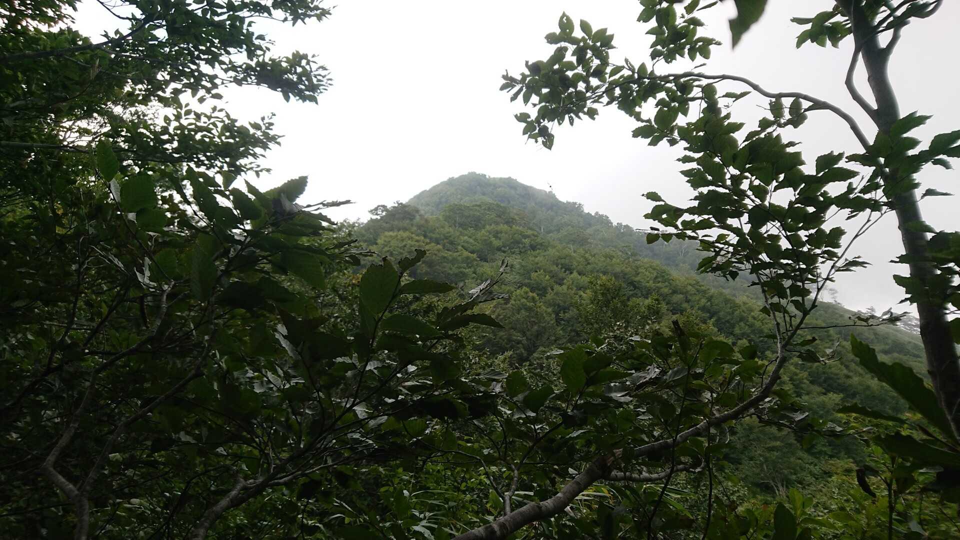真瀬岳の写真