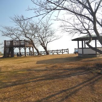 何人かの人が遊びに来ていた