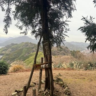 どんどん進む〜