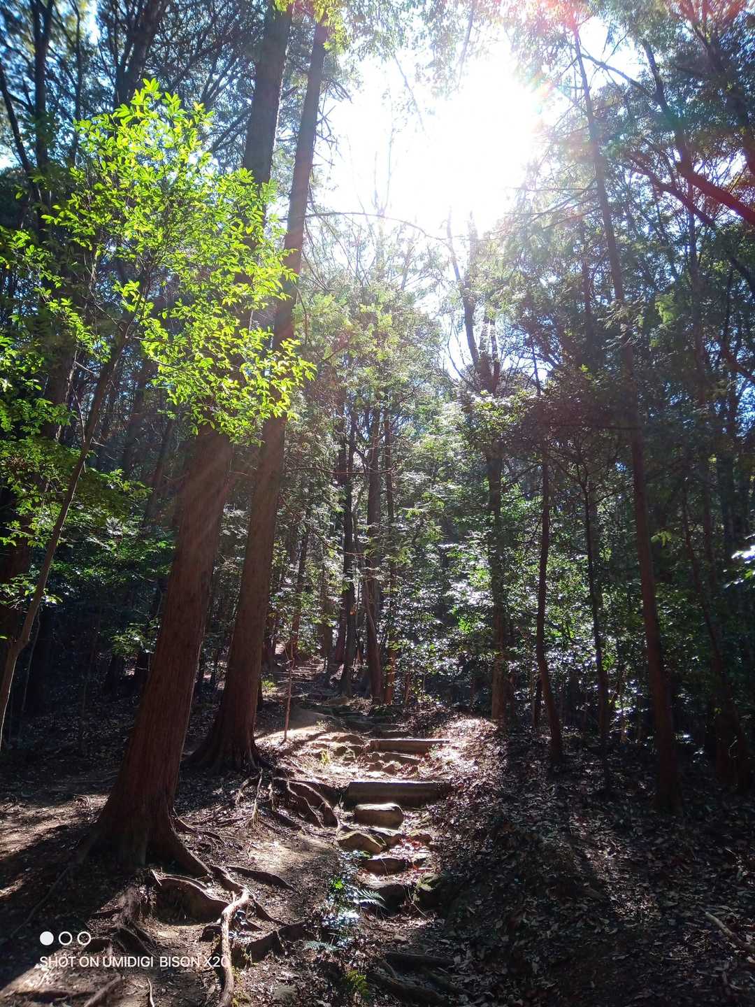 村積山 往復コースの写真