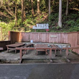 千早本道登山口からちはや園地へ