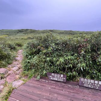 弥陀ヶ原湿原から登山道へ入る