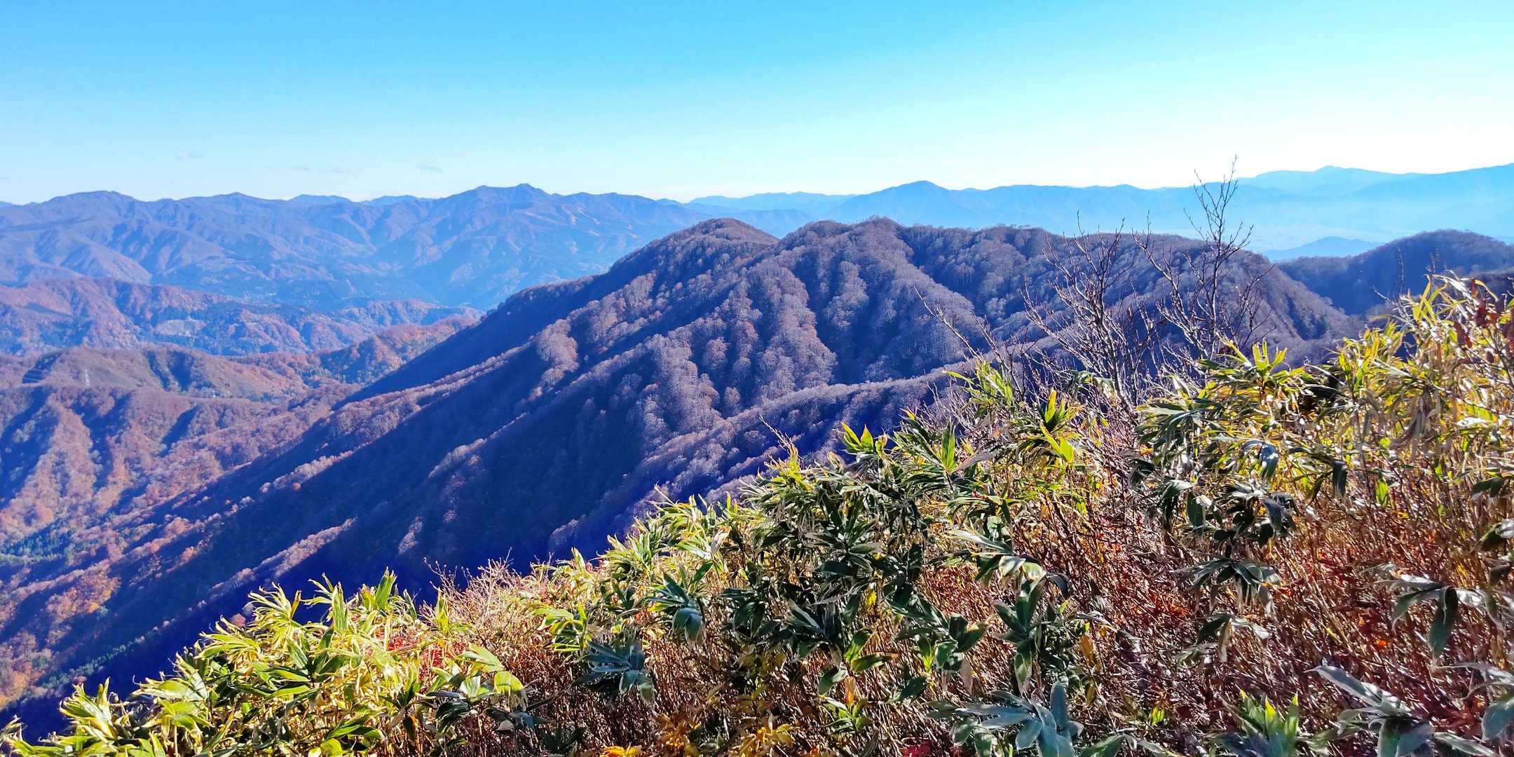 越前甲-大日山 往復コースの写真