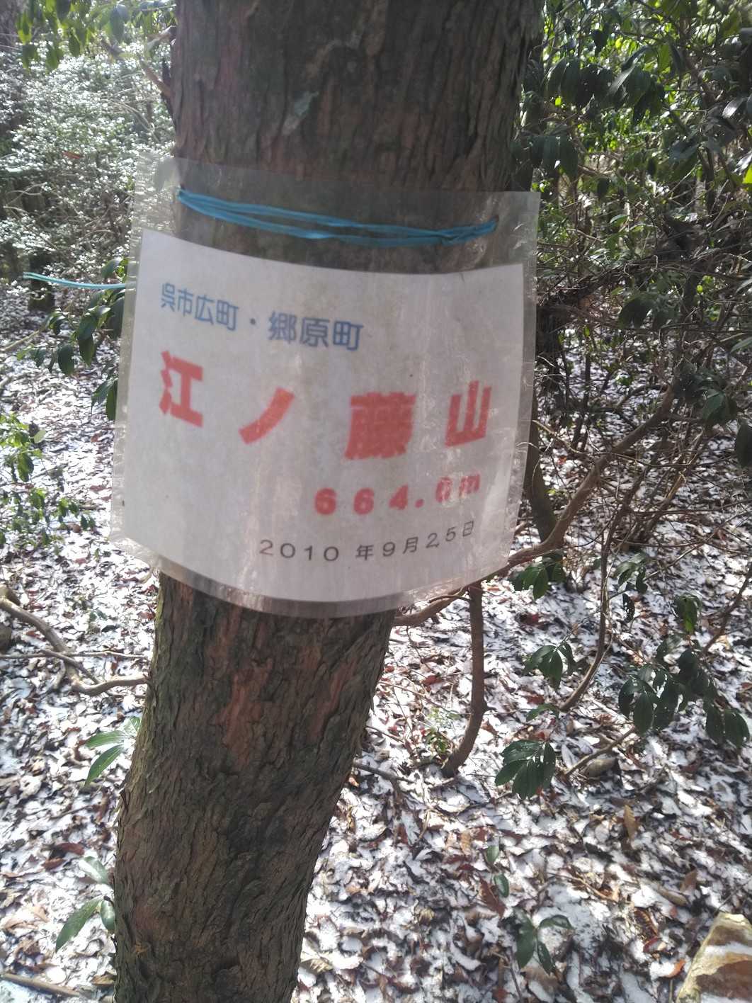 20_⛰江ノ藤山に到着！
"のろとはい"から4年以上ぶりに繋がった😆🎵
https://yamap.com/activities/1443997