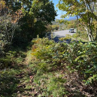 スカイラインに出ました。ここから１０分程度道路を歩きます。歩道とか無いので気を付けて。