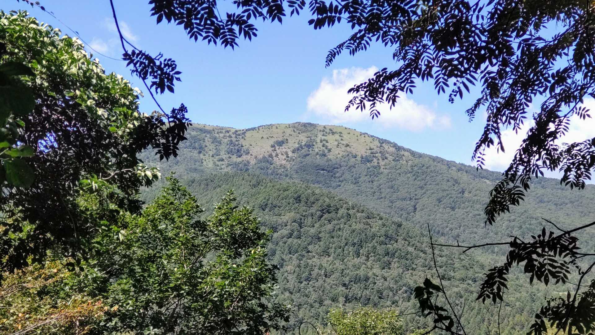 桟敷山-小桟敷山 周回コースの写真