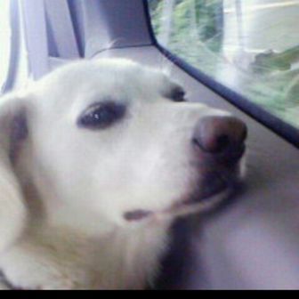 マシュマロ０９９６