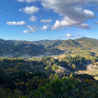 高蔵神社裏手の見晴台からの展望