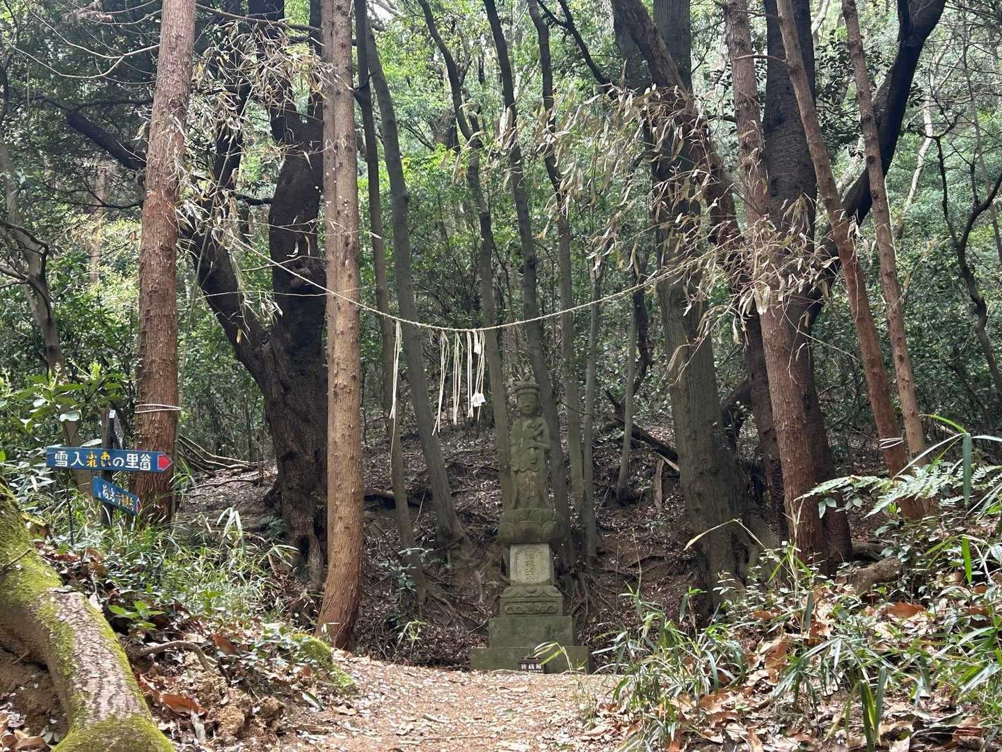 観音様？
今日はお参りしました