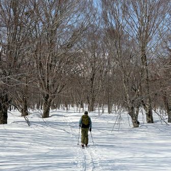 風もなく暖かい✨