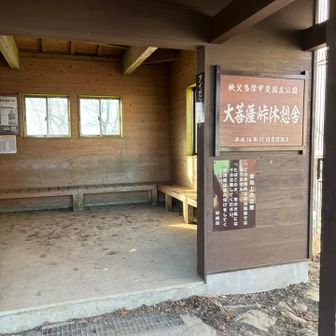 今日は風ほとんどないけど、安心できる