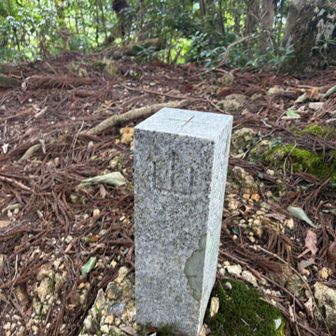 山