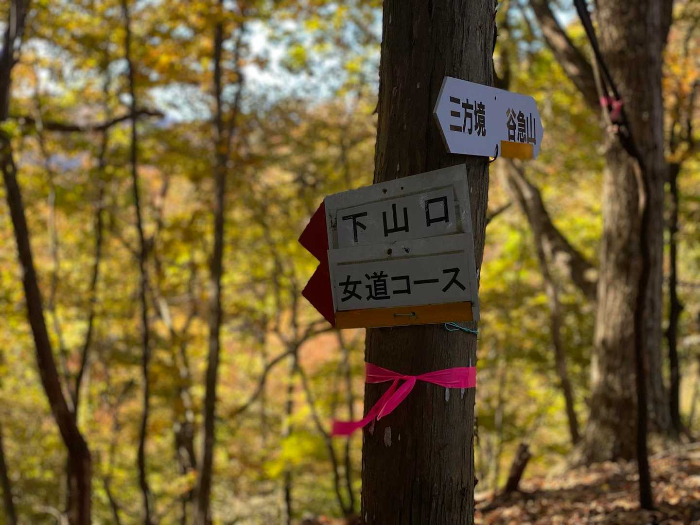 丁須の頭-谷急山 周回コースの写真