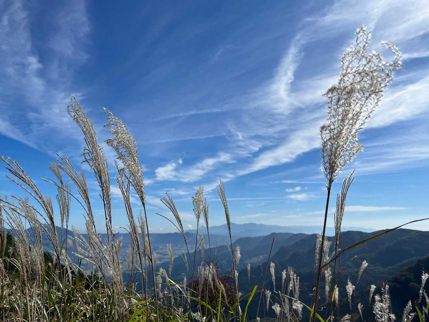 登山日和
みんな繰り出してるでしょうね！