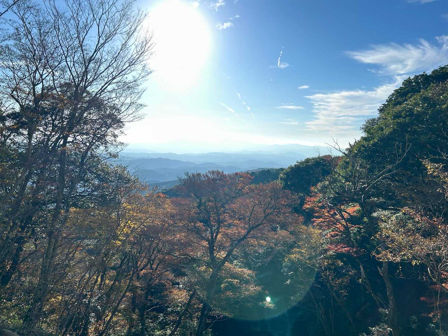 車道を登るのはなかなかキツイけど開けて眺望がある所は気持ちいい😊