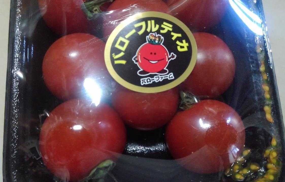 市販のトマトの種で苗作り20260502 / CAMELさんのモーメント