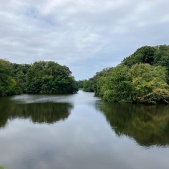室池　西側