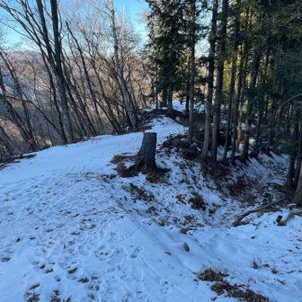 右手の道を降りていきます。雪山に来ているようです⛄️