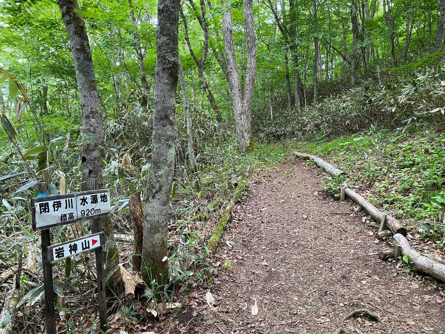 YAMAPのコース外を歩いてます。間違えたんだけど結果オーライ👌