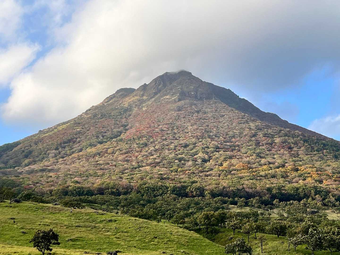 由布登山口バス停-由布岳正面登山口-由布岳 往復コースの写真