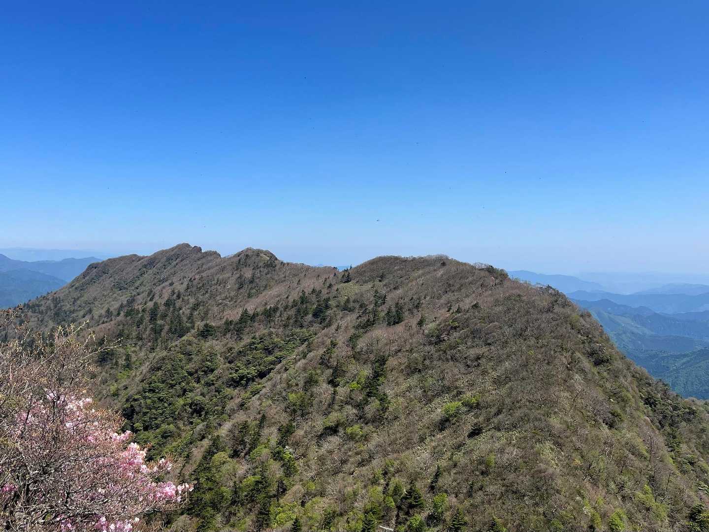 来た道。手箱山を振り返って。