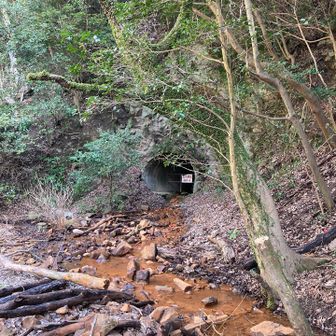 映画IT、を思い出すトンネル…。ピエロが居そう…