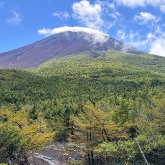 富士さーん！ヽ(´▽｀)/

完全に天気を諦めていたので、これは嬉しい！！