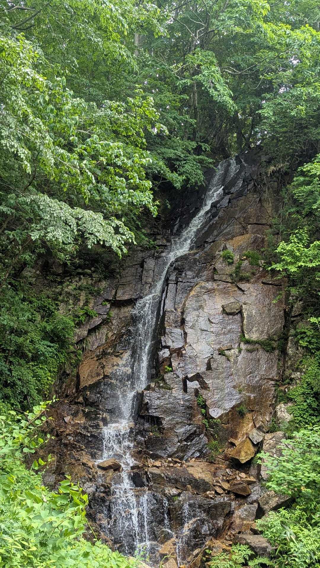水源の滝のそばを歩きましょう
雨上がりの滝は水量多い