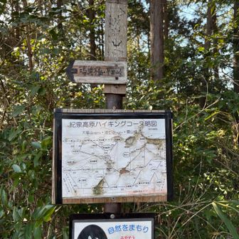 縦走する人は飯盛山の方へ