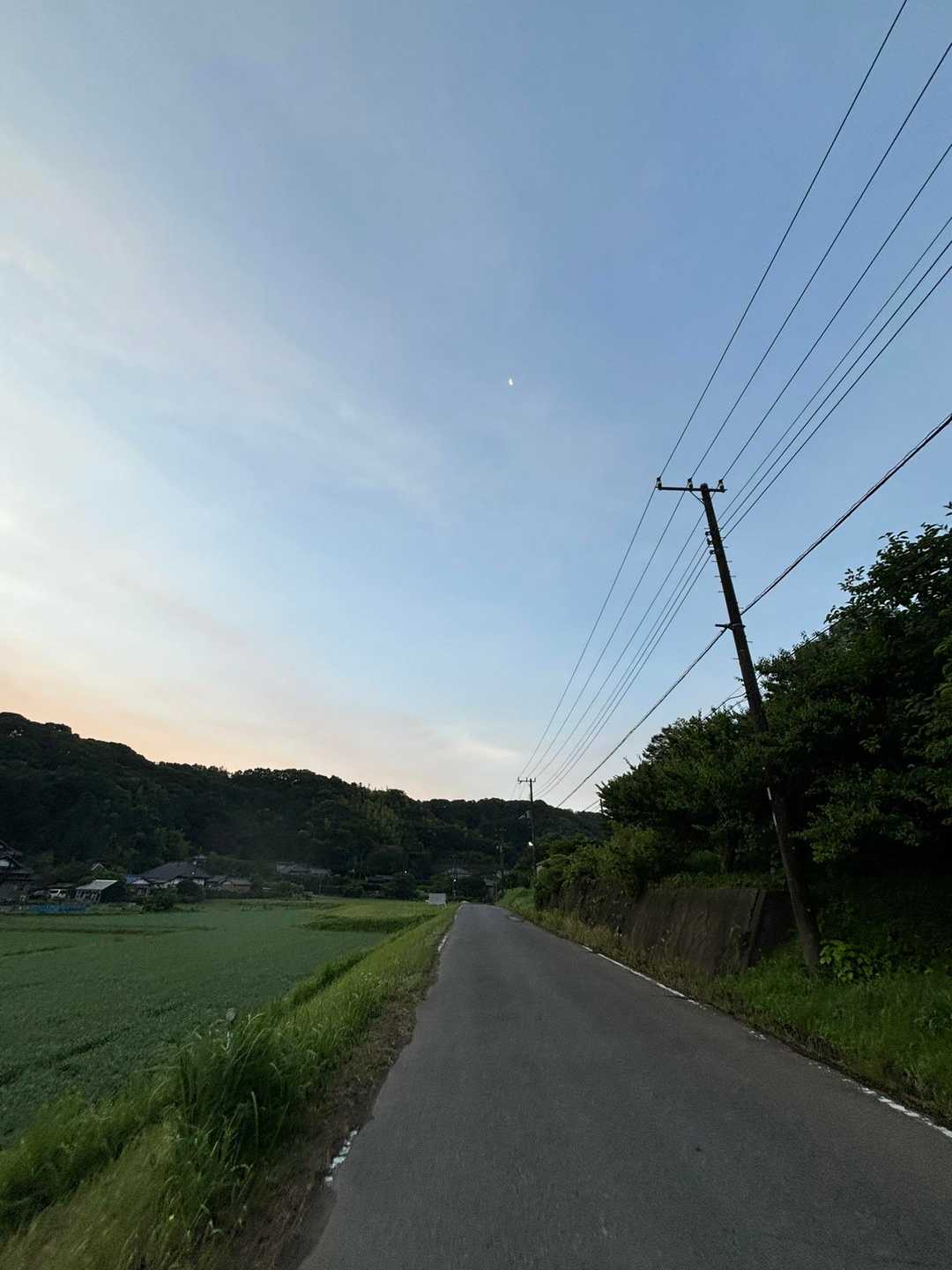 三舟山 周回コースの写真