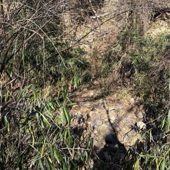 渡渉だけど、水が無い