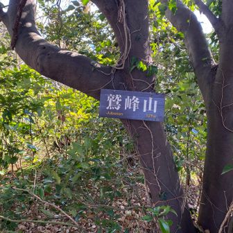 コースから少し外れた所にありました！
YAMAPの投稿を参考にすればいけます！

［じゅぶせんやま］いや読めねーって(･_･;
