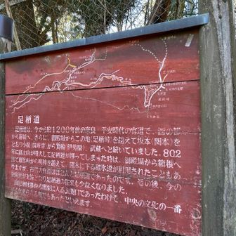 足柄古道
昔は東海道よりこちらがメインだったのか！