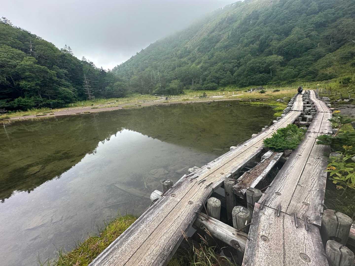 弥陀ケ池の木道、ここを歩きたくて菅沼登山口からスタート