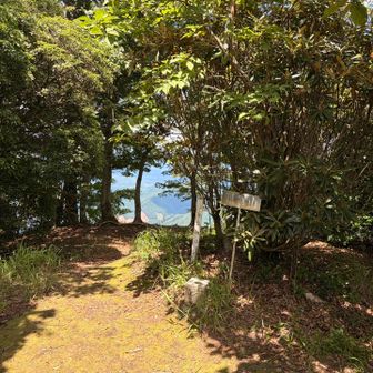 こじんまりした山頂
木陰もあっていい感じですが
風がなくなったのでさっさと退散💨