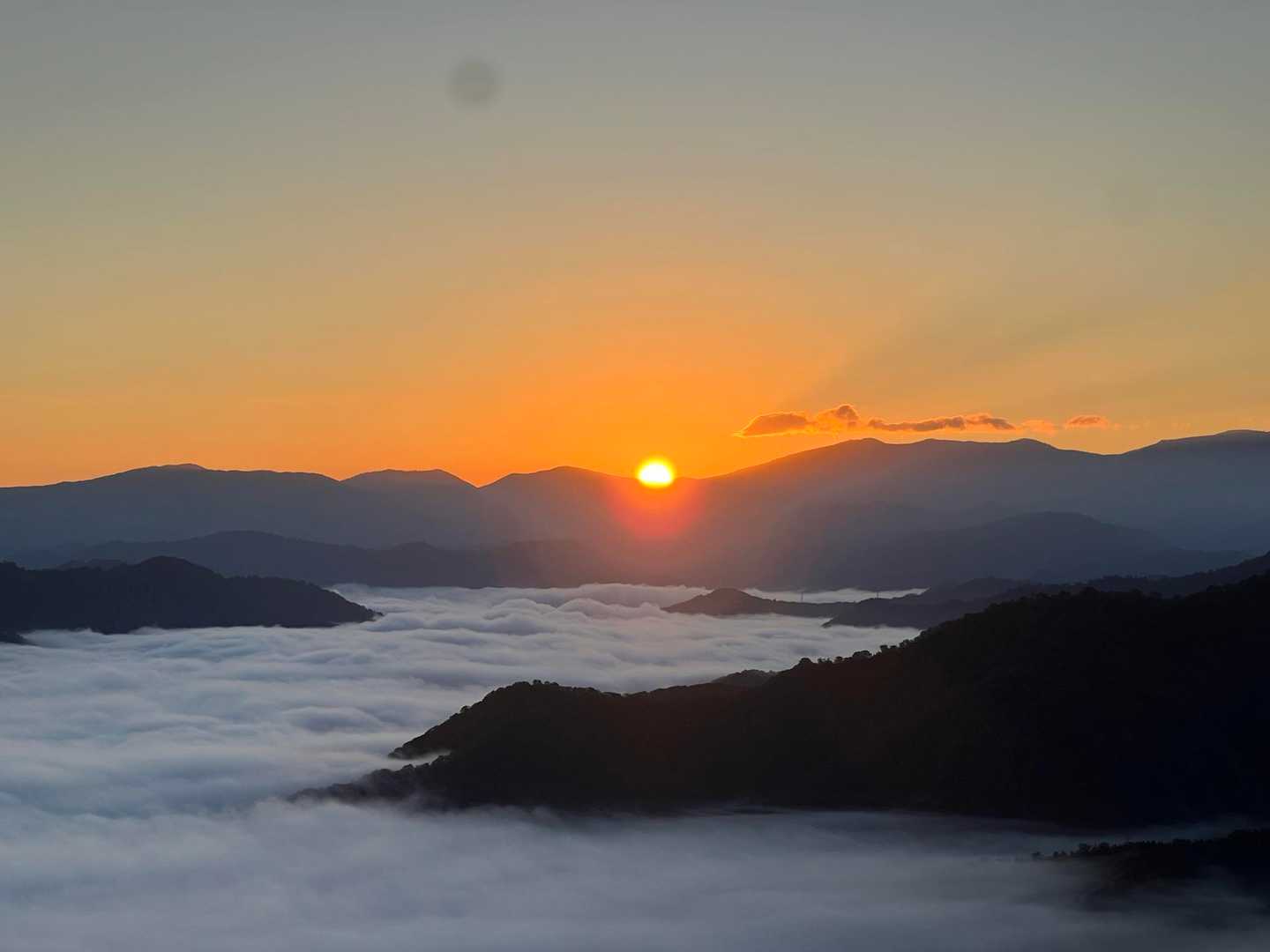 越後駒ヶ岳 往復 | 滝雲が湧く枝折峠から、花や眺望を楽しむ稜線歩きの写真