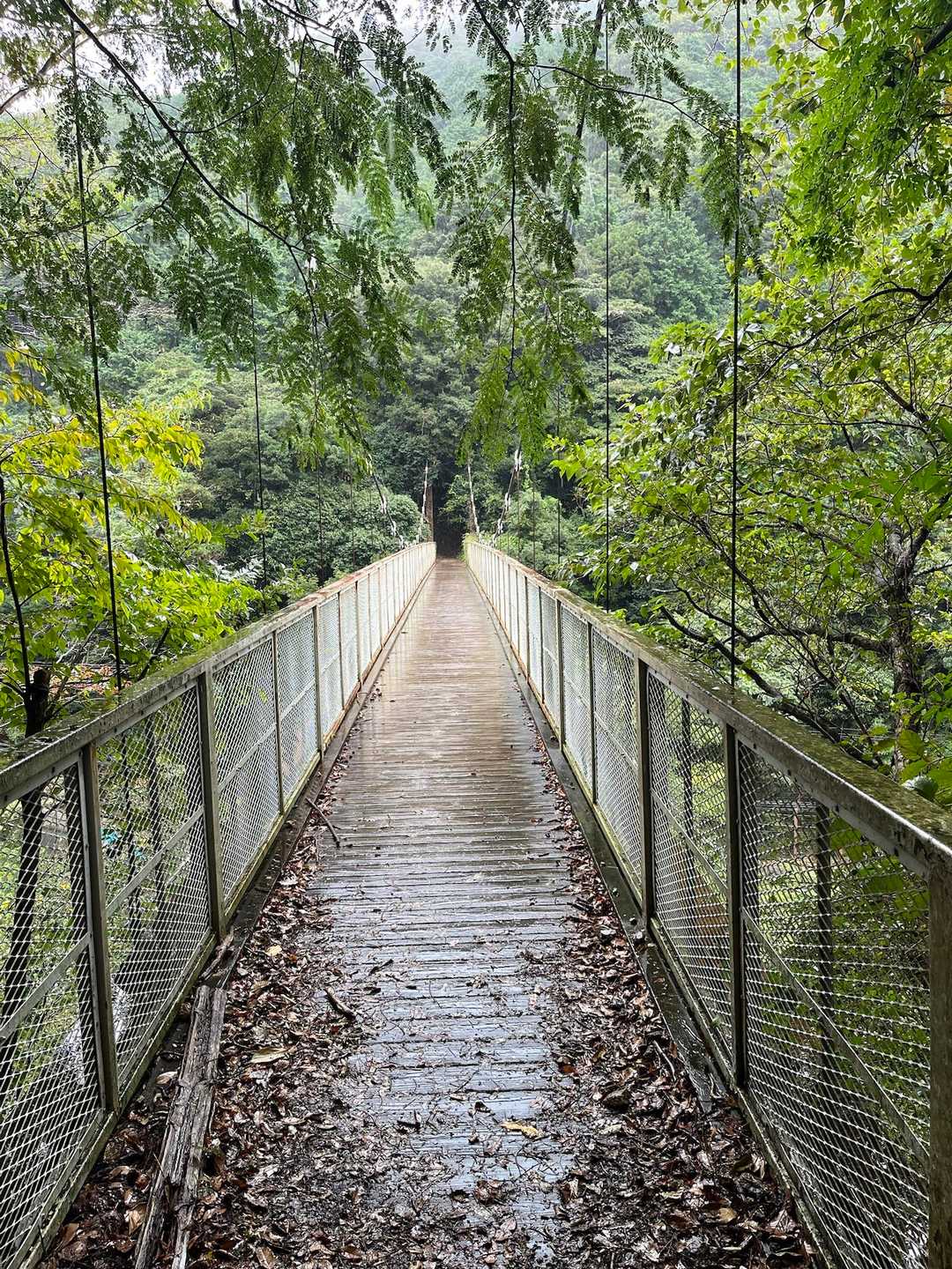 鵯越駅-石井ダム登山口-菊水山-鍋蓋山-再度越-諏訪山公園 縦走コースの写真