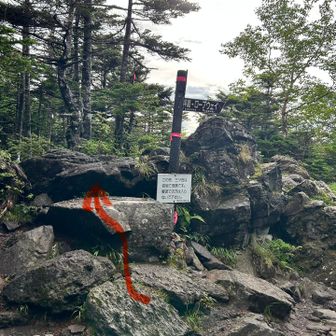 ここからはみんなで三ツ岳の方へ向かいます。